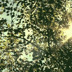 lush (spoken word track/interlude)