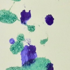 nuvole sopra perinaldo...........susanne escher / saitenholz.........thomas zimmermann / shrutibox