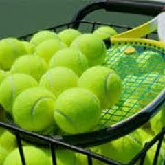 A1 Fly Guy$: U.s. Open