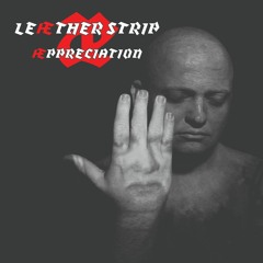 LE∆THER STRIP :  T.V.O.D (The Normal Cover Version)