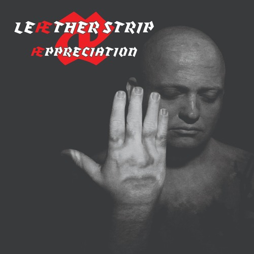 LE∆THER STRIP :  T.V.O.D (The Normal Cover Version)