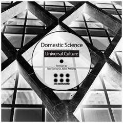Domestic Science - Universal Culture (Babis Kotsanis Remix) [EDM Underground]