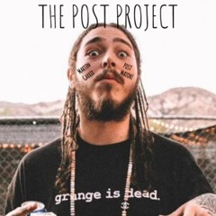 Martin Garrix vs. Post Malone - The Post Project (RNZLR Mashup)