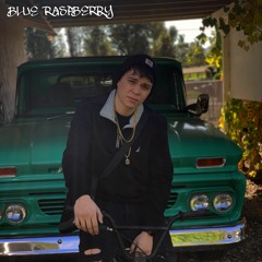 BLUERASPBERRY -  DANNY3MILL -  RAMONA ZOO 2019