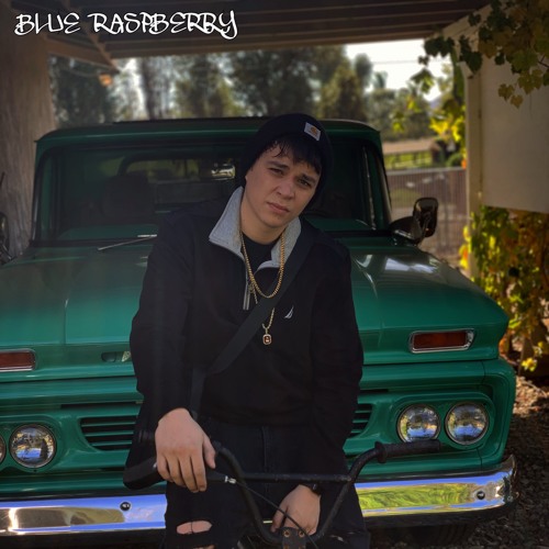 BLUERASPBERRY -  DANNY3MILL -  RAMONA ZOO 2019
