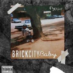 F.L.Y. Karti - BrickCityBaby