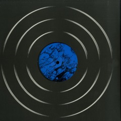 Anml Mthr - Power Surge [ FLASH Recordings ]