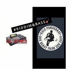 RIDDIM AND BASS