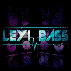 GO - LEYI BASS REMIX