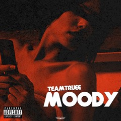 TeamTruee-Moody