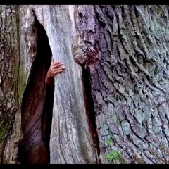 LSO Patrzy Na Mnie Prod.Kiełas,Cmaz