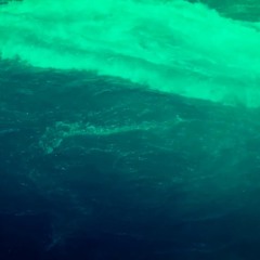 LSO Porwie Brzeg Prod.Kiełas