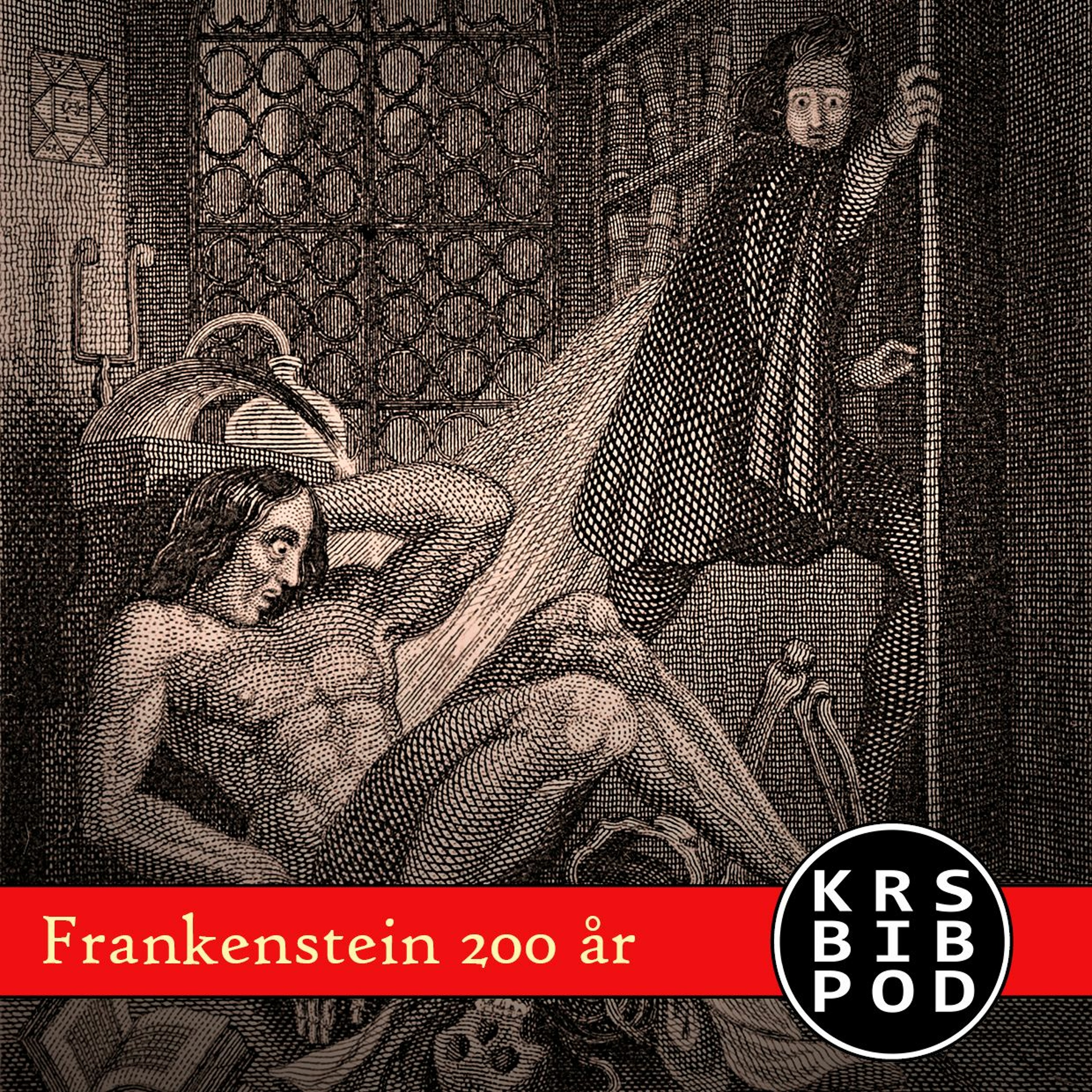 KRSBIBPOD - Podkast fra Kristiansand folkebibliotek