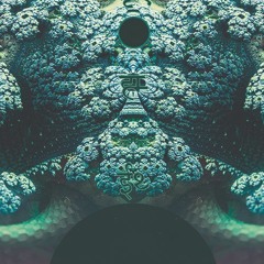 N E R T U M >> U n i v e r s a l  C o d e [ p r e v i e w ]