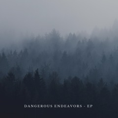 Dangerous Endeavors (prod. CQSleep)