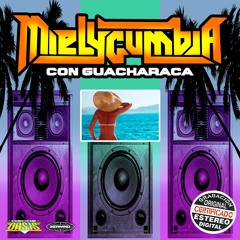 13. LA PECOSITA - MIELYCUMBIA CON GUACHARACA VOL.1