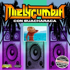 12. EL CHUPACABRAS - MIELYCUMBIA CON GUACHARACA VOL.1