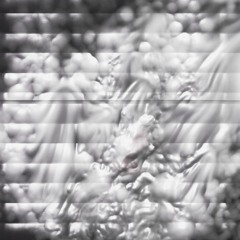 ins. 2 1e7