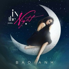 In The Night (Remix) - Bảo Anh