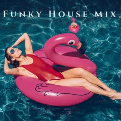 Mix Funky Disco House  2018