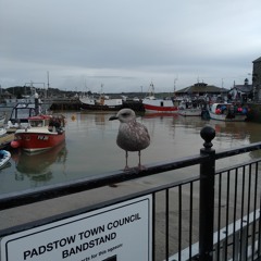 Binaural Recording at Padstow, Cornwall - December 2018