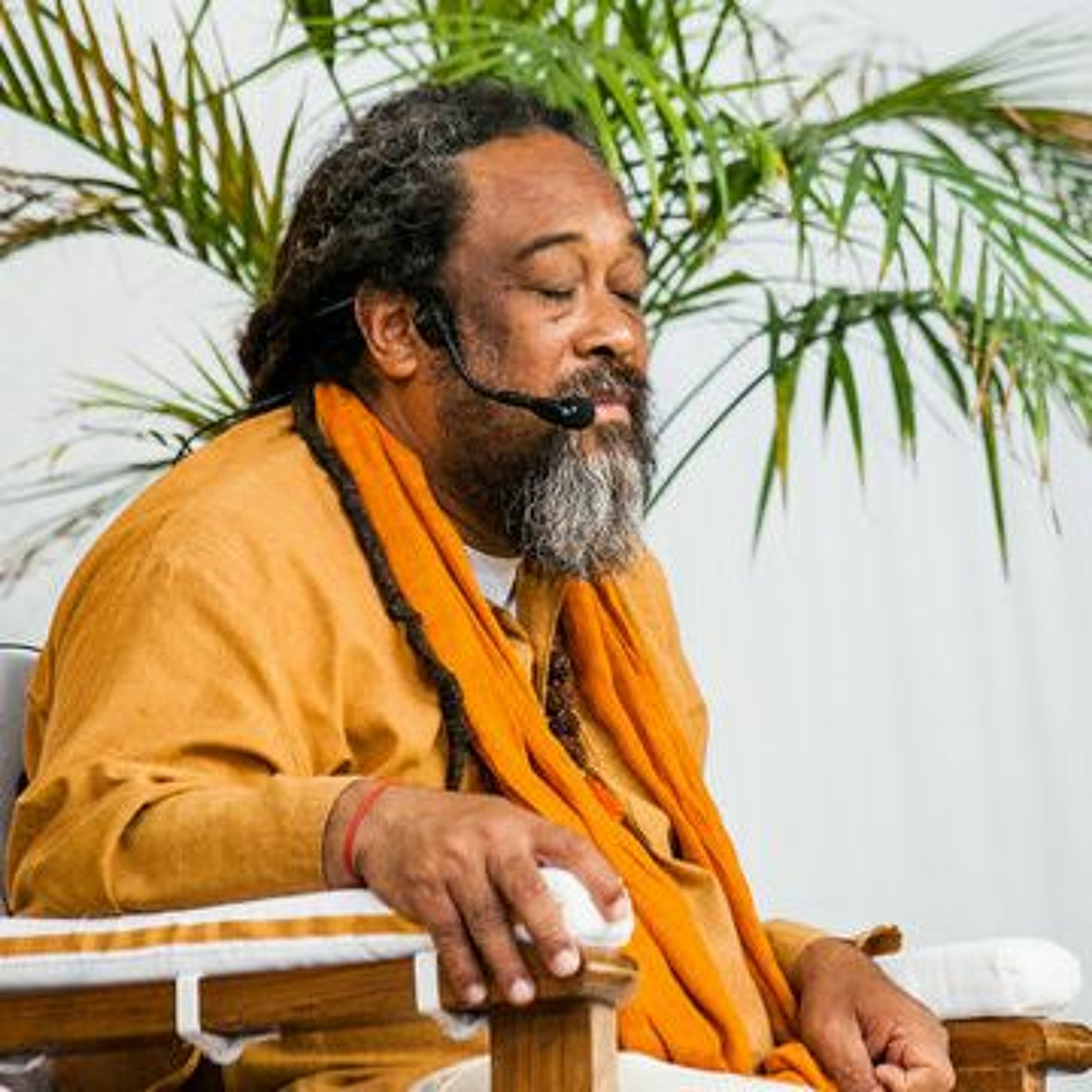 Satsang with Mooji