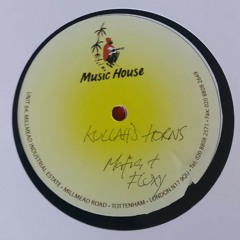 AFRICAN HORNS MAFIA AND FLUXY FEAT ABA ARIGINAL PRE MIX ROOTS YOUTHS RECORDS 2019.wav