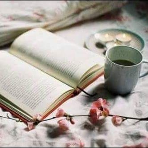 القارئ الشيخ ممدوح عامر ف عزاء بقرية المقاطعه مركز السنبلاوين