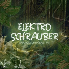KataHaifisch Podcast 071 - Elektroschrauber