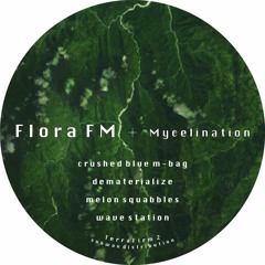 Premiere: Flora FM – Dematerialize [TerraFirm]
