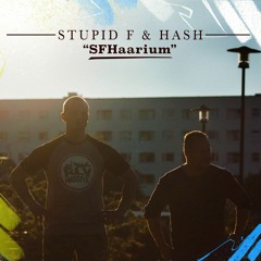 Stupid F & Hash - Warjude Mäng