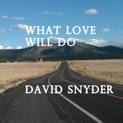 What Love Will Do
