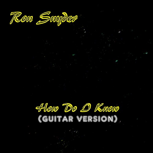 Ron Snyder - How Do I Know (guitar version)