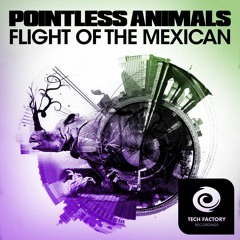 Pointless Animals - FLIGHT OF THE MEXICAN (Original Mix) #2 HARD TECHNO