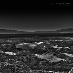 Hyper Opal Mantis . 2017 ( Stroboscopic Artefacts )