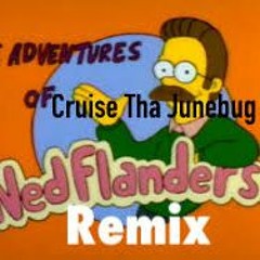 Ned Flanders Remix