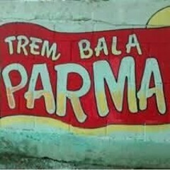 12 MINUTOS DE PROIBIDAO REVOLTADO COMANDO VERMELHO(MENOR DO CPX)YAN TREMBALLA