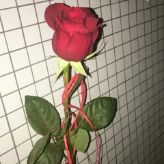 When The Party’s Over