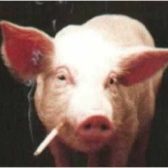 Ruslan - Praseta ''Big Pig Scandale'' (Goggy Extended)