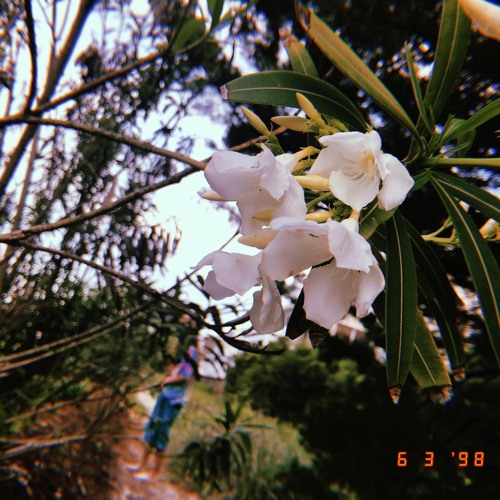 VULNERABLE