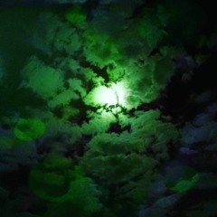 Back to the Moon