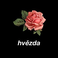 hvězda