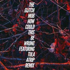 The Glitch Mob - How Could This Be Wrong feat. Tula (ATRIP Remix)