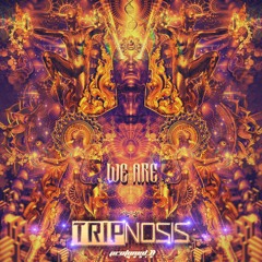 Tripnosis - Lucy In The Sky With Diamonds