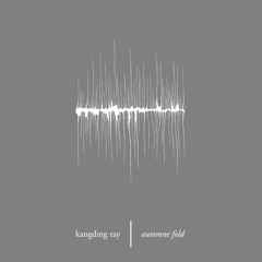 AUTOMNE FOLD . 2008 . raster-noton . r-n 094