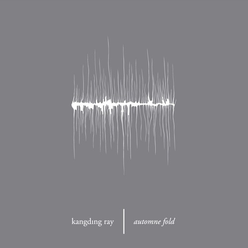 AUTOMNE FOLD . 2008 . raster-noton . r-n 094