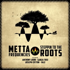 5.METTA FREQUENCIES - Horns Across The Borders