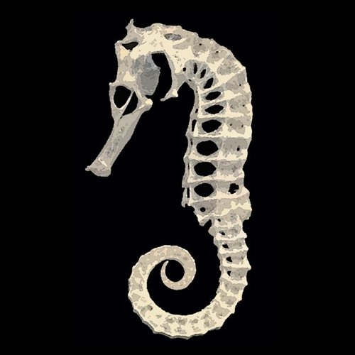 ...and for such a long time - she's a seahorse