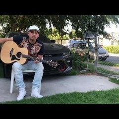 Fuerza Regida-El dinero los cambio