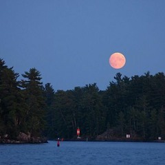 It'll All Work Out by Tom Petty (Cover)